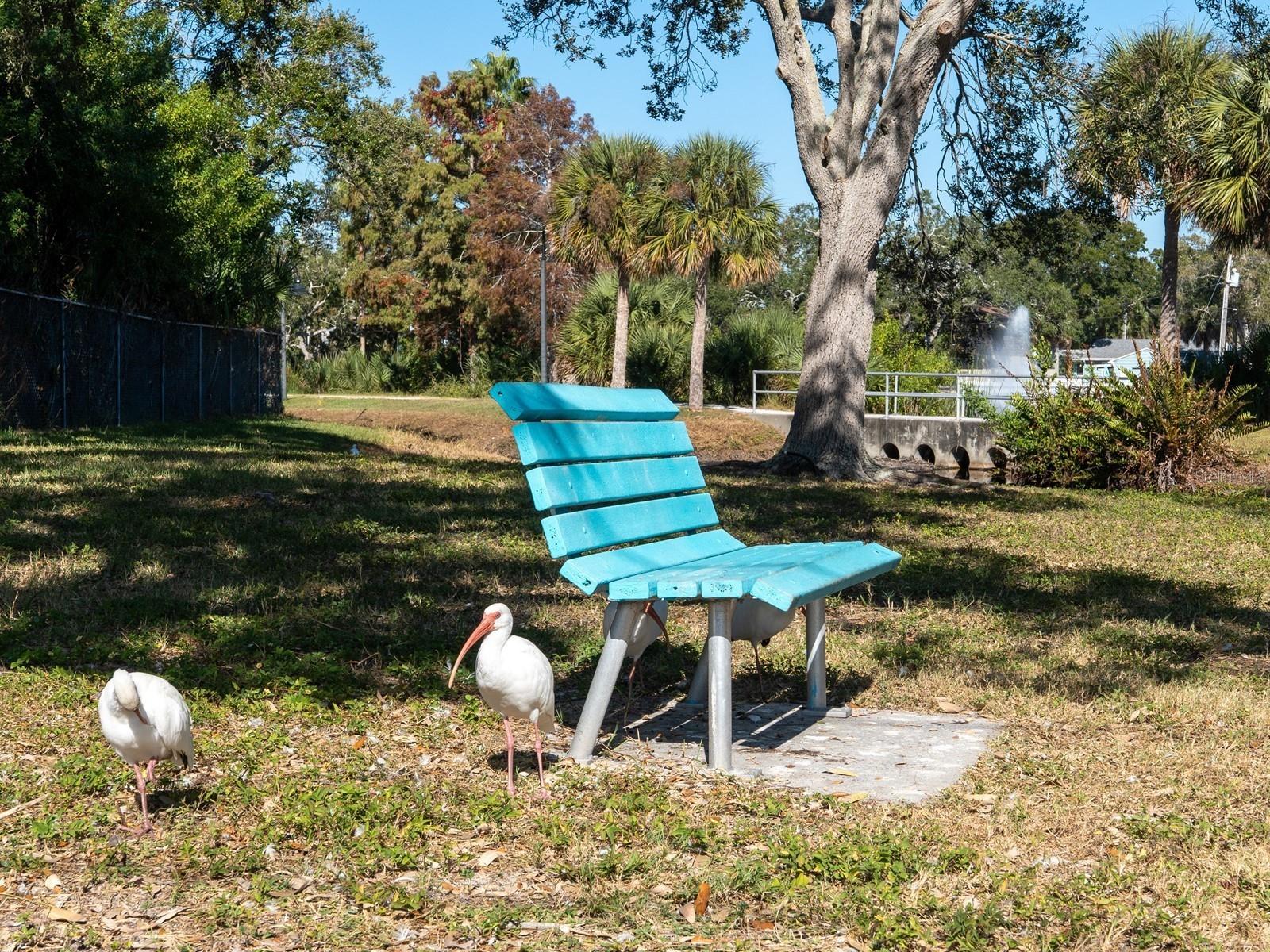 PASADENA ESTATES SEC C - Residential