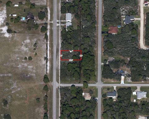 COUGAR BOULEVARD SEBRING FL 33872