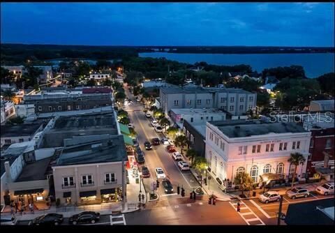 A home in MOUNT DORA