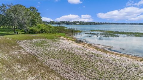 A home in MOUNT DORA