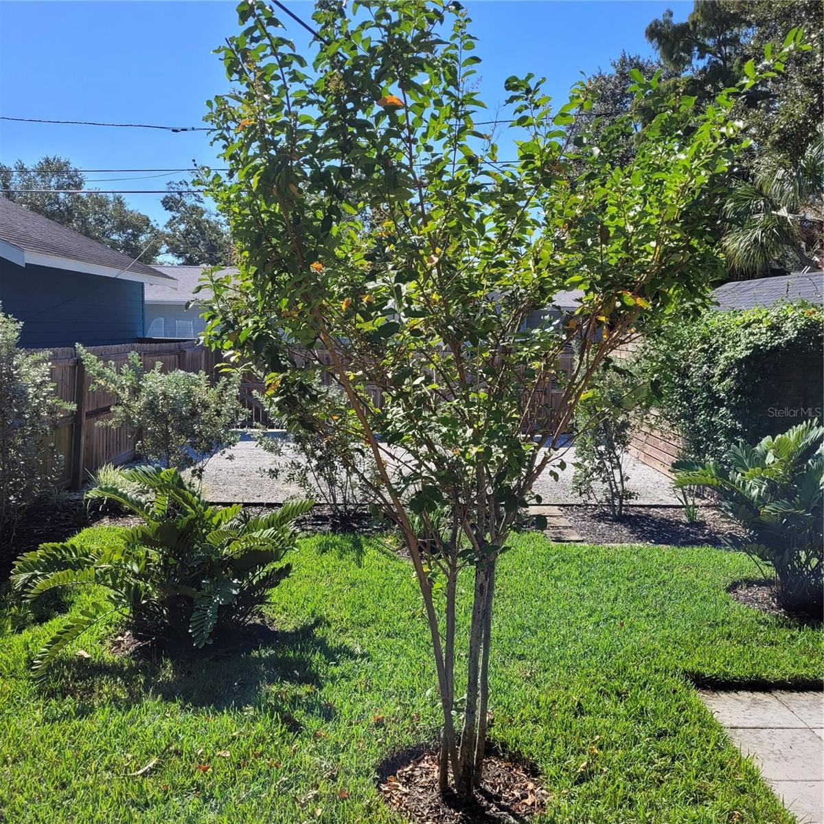 HALLS CENTRAL AVE 1 - Residential Lease