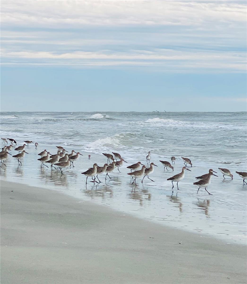 TIDES VILLAGE - CONCOURSE - Residential