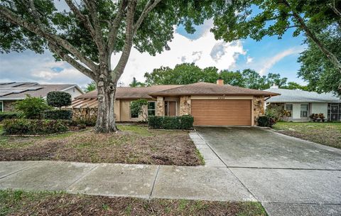 A home in TAMPA