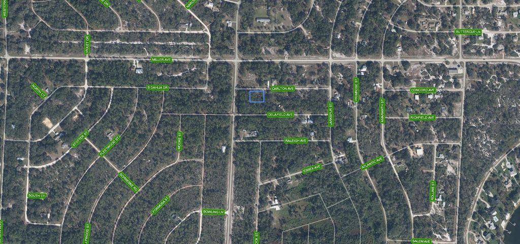 Photo of 3154 Carlton Avenue, Lake Placid, FL 33852 (MLS # A4695230)