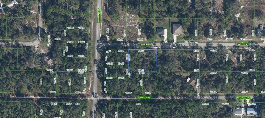 Photo of 3154 Carlton Avenue, Lake Placid, FL 33852 (MLS # A4695230)
