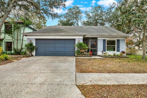 A home in VALRICO