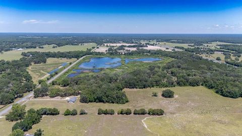 Tiny photo for 830 NW 111th Lane, Oxford, FL 34484 (MLS # S5150375)