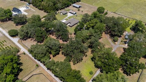 Tiny photo for 830 NW 111th Lane, Oxford, FL 34484 (MLS # S5150375)