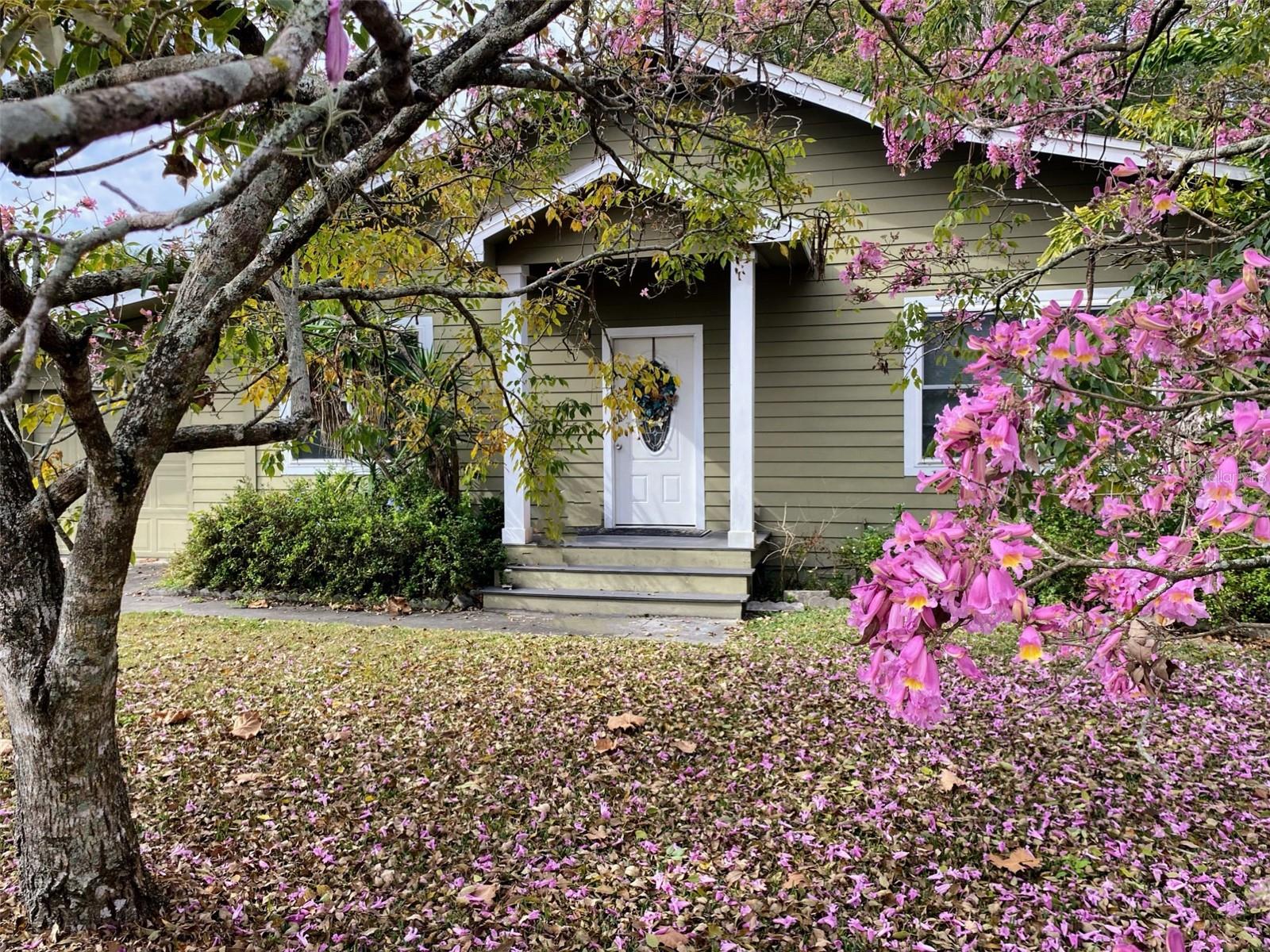 DOWD PARK - Residential