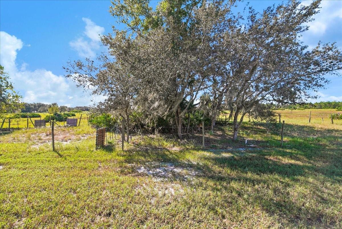 LOMA LINDA PH 2 - Residential