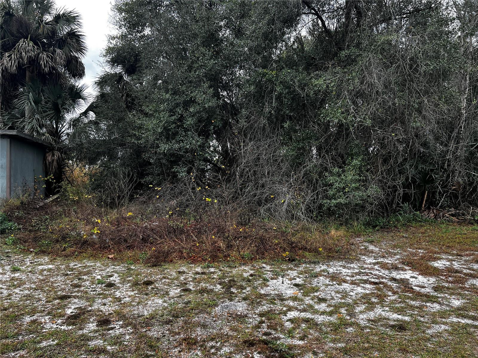 NOT IN SUBDIVISION - Residential