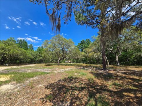 Tiny photo for 1099 E La Salle Street, Hernando, FL 34442 (MLS # OM722808)