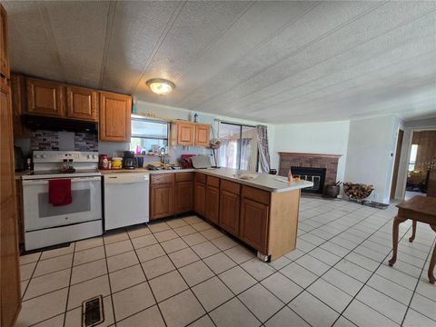 Tiny photo for 1099 E La Salle Street, Hernando, FL 34442 (MLS # OM722808)