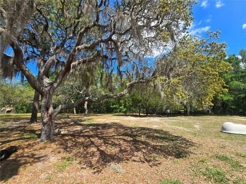 Tiny photo for 1099 E La Salle Street, Hernando, FL 34442 (MLS # OM722808)
