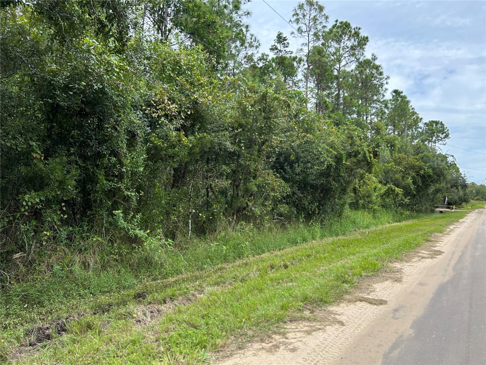 Build your home or create your farmette on this 3.14-acre parcel. No HOA. Manufactured homes are welcomed to this community. Only 7 miles to Guy Harvey's Camp Mac Lodge, marina, and RV park where you can find boat rentals, airboat rides, pool, kid zone, Outfitters store, and more. Close to Kissimmee State Park, where you can enjoy wildlife, hiking trails, and the Kissimmee Chain of lakes with 35,000 acres of water to explore.