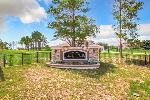 Tiny photo for 10133 Colt Lane, Winter Garden, FL 34787 (MLS # O6218397)