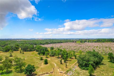 Tiny photo for 10133 Colt Lane, Winter Garden, FL 34787 (MLS # O6218397)