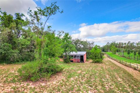 Tiny photo for 10133 Colt Lane, Winter Garden, FL 34787 (MLS # O6218397)