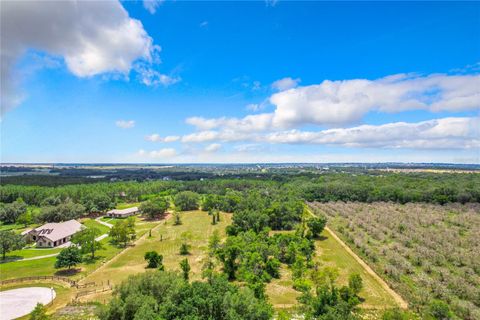 Tiny photo for 10133 Colt Lane, Winter Garden, FL 34787 (MLS # O6218397)