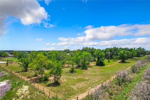 Tiny photo for 10133 Colt Lane, Winter Garden, FL 34787 (MLS # O6218397)