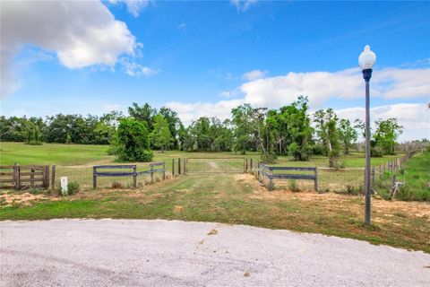 Tiny photo for 10133 Colt Lane, Winter Garden, FL 34787 (MLS # O6218397)