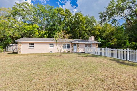 Photo of 10303 N Myrtle Street, Tampa, FL 33617 (MLS # TB8440636)