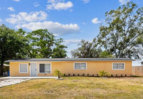 3414 LINDSEY STREET DOVER FL 33527
