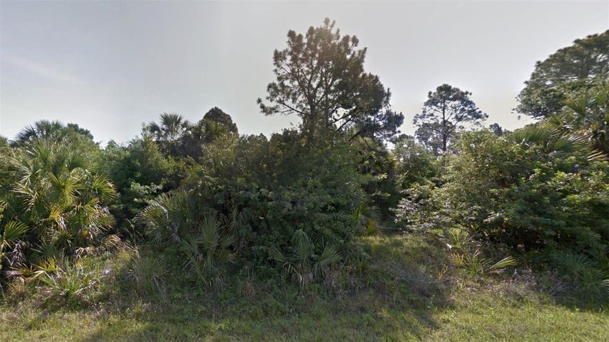 Looking to add to your investment portfolio? Ready to build your dream home? Located near the RV Griffin Reserve, a 2,485-acre preserve with pine flatwood views & 21 miles of hiking, biking & horseback riding trails. Close to I-75, a short drive to shops, restaurants, parks and gulf coast beaches! Enjoy the Florida lifestyle with an abundance of outdoor activities, world class beaches, boating, golfing and more. No HOA, no CDD fees! Not in a flood zone! All offers must be submitted in writing.