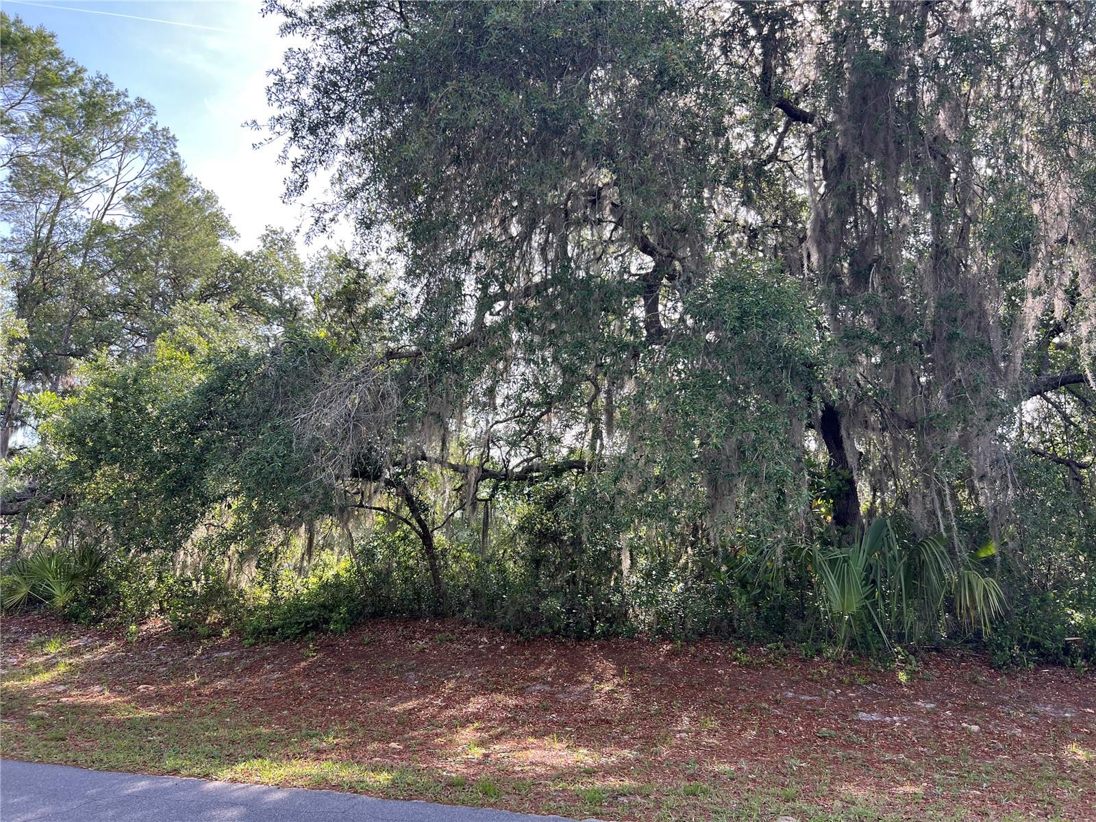 PARKERS RIVER ROAD ACRES - Land