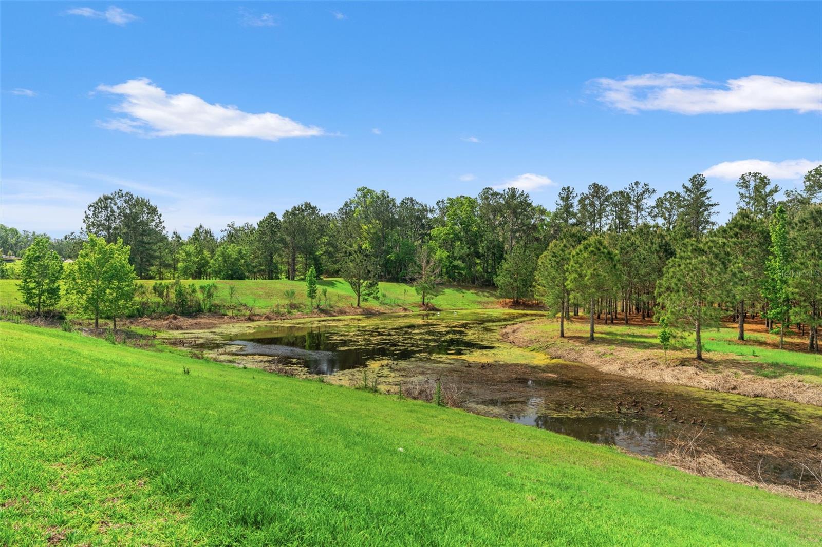 SOUTHERN HILLS PLANTATION PH 2 - Residential