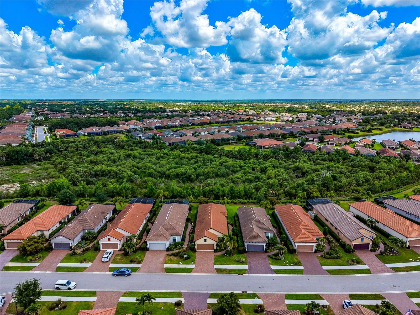 ESPLANADE ON PALMER RANCH - Residential