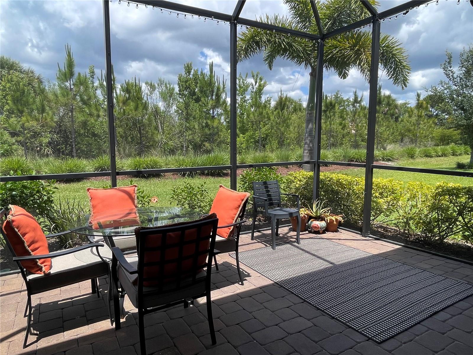 ESPLANADE ON PALMER RANCH - Residential