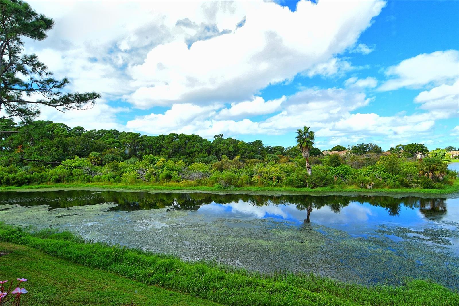 PINESTONE AT PALMER RANCH - Residential Lease
