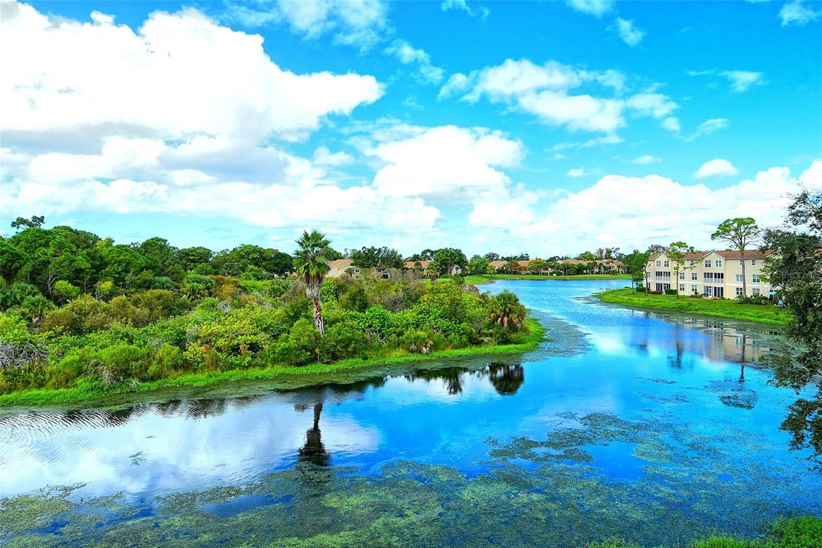 PINESTONE AT PALMER RANCH - Residential Lease