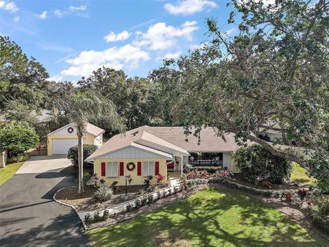 A home in EUSTIS