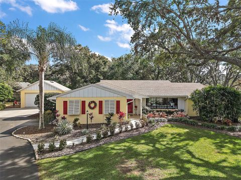 A home in EUSTIS