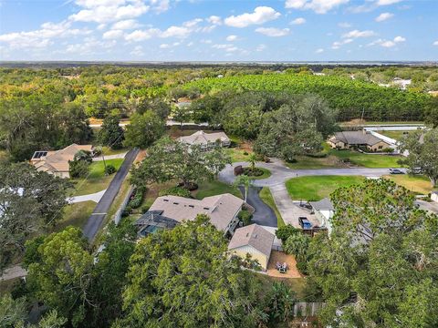 A home in EUSTIS