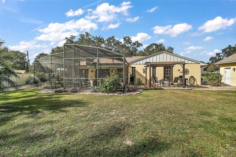 A home in EUSTIS