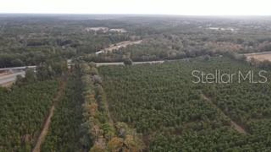Vacant land for sale.  Land is currently used as timberland but could be commercial use. Amazing location for beautiful private estates. Land is dry and wetland-free. Easy access from 143rd Street and convenient to both Gainesville and Alachua.
