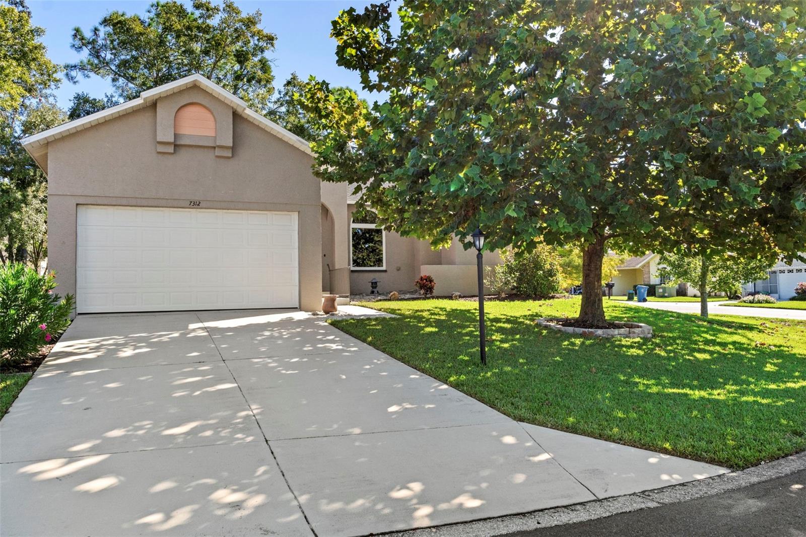 TIMBER PINES - Residential