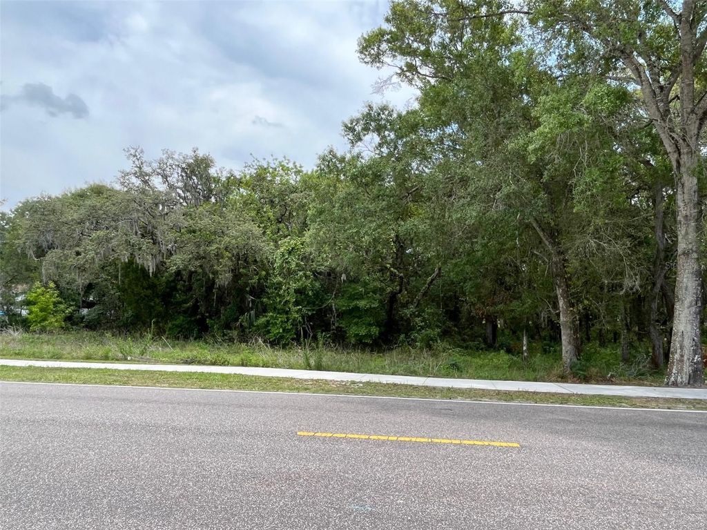 Photo of 12120 Hicks Road, Hudson, FL 34669 (MLS # W7869829)