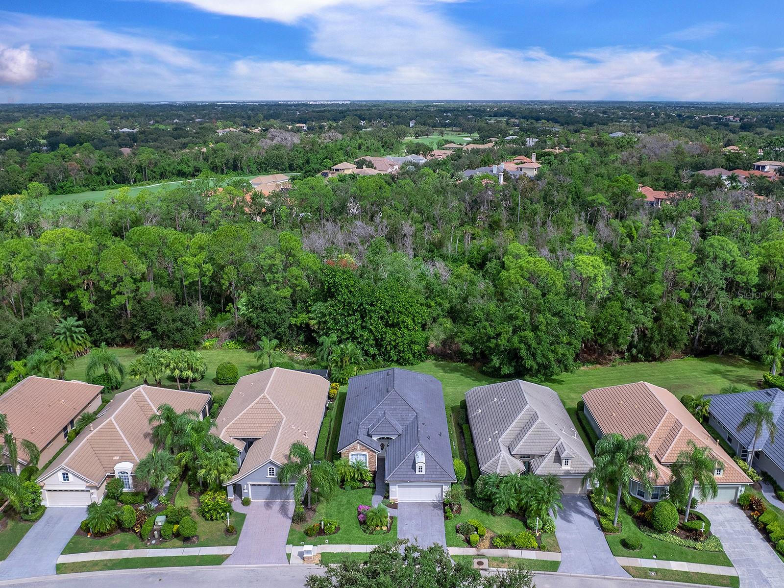 LAKEWOOD RANCH COUNTRY CLUB VILLAGE D 1 - Residential