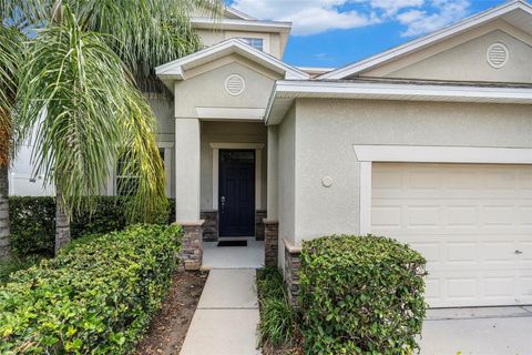 A home in LAND O LAKES