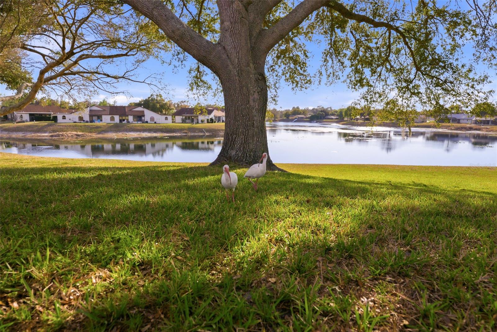 HEATHER WALK - Residential