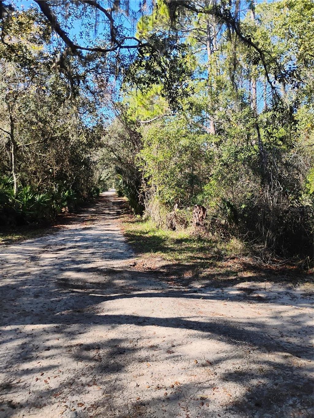 Photo of Marie Avenue, Deland, FL 32720 (MLS # OM714355)