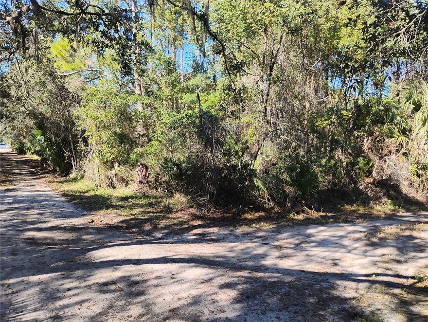 Don't miss this opportunity to purchase a 1/3 of an acre corner lot property on the edge of Deland at an affordable price. Surrounded by wooded lots for added privacy in a quite neighborhood with paved streets adding for convience. This location would be a great place to build a home or place a mobile home in a growing community just a short drive to the beaches to the east and all Orlando has to offer to the southwest.