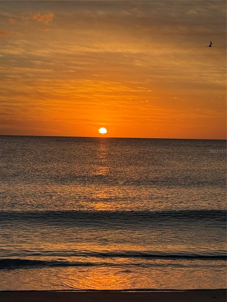 PORTOBELLO - Residential Lease