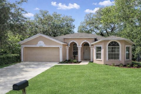 10018 N HARTTS DRIVE TAMPA FL 33617