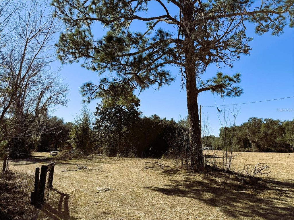 Photo of 7400 NE 199th Street Road, Citra, FL 32113 (MLS # OM717934)