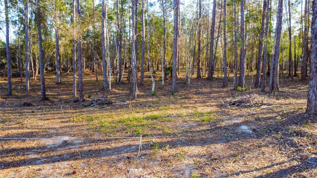 Photo of 0 State Road 33, Clermont, FL 34714 (MLS # G5107149)